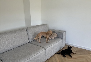 Медиа отзывов №2